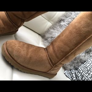 Uggs Tall Chestnut